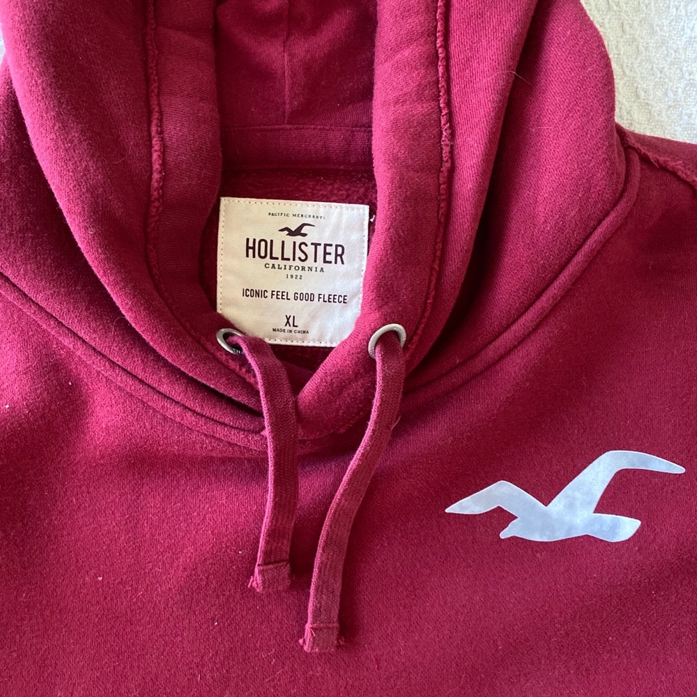 Hollister Iconic Feel Good Fleece Hoodie